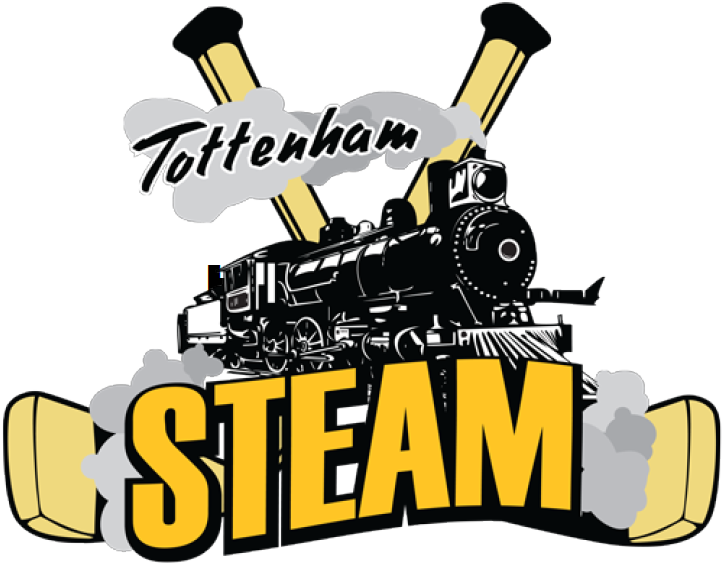 Tottenham Steam 2014-Pres Primary Logo iron on transfers for clothing